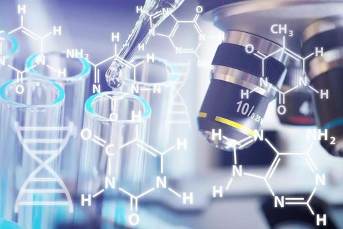 基因检测与智能生物识别 靠谱企业指南与未来展望